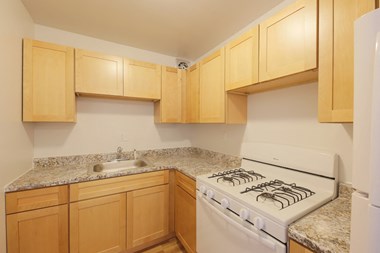 4601 S. 1St Street Studio-2 Beds Apartment for Rent - Photo Gallery 1