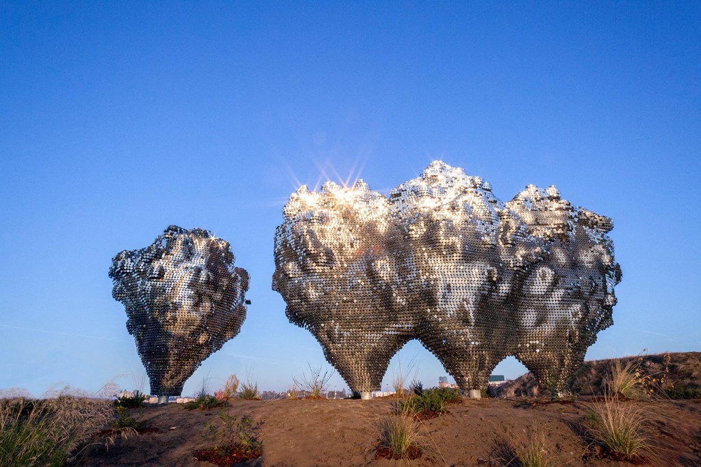 two sculptures of faces made out of seeds on a hill