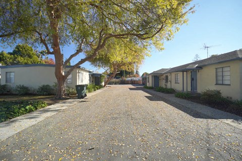 a street with houses on either side of a tree