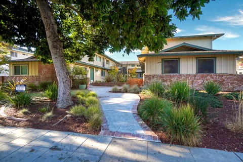 a sidewalk in front of a house with a tree