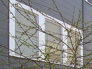 360 Cowper Street Rentals Palo Alto Ca Rentcafe