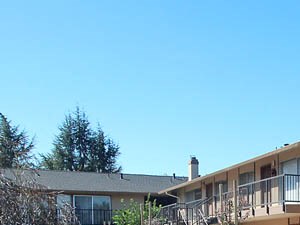 201 Cuesta Drive 2-3 Beds Apartment for Rent