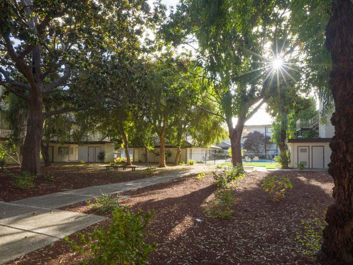 a street with trees in front of houses with the sun shining through the trees