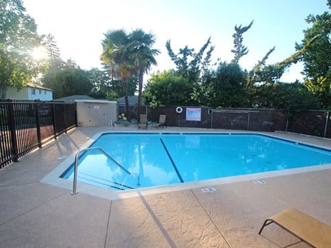 a swimming pool in a backyard with a fence and a tree
