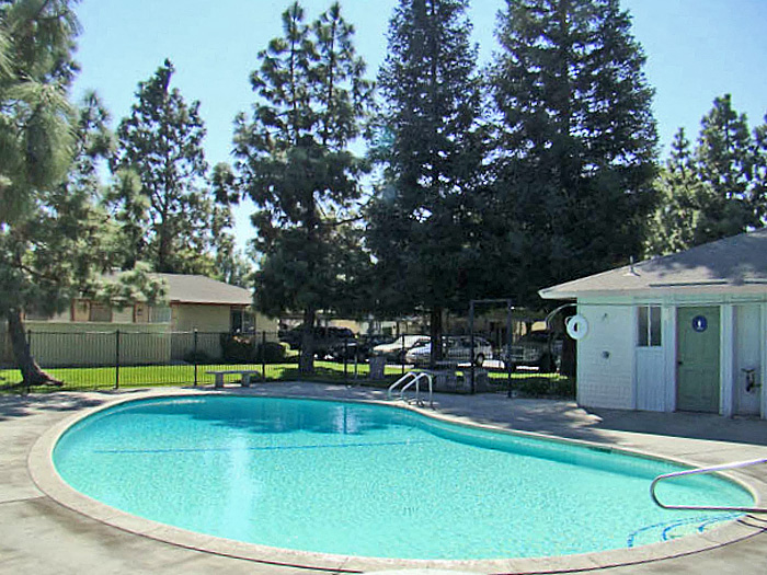 a swimming pool with a house and trees in the background