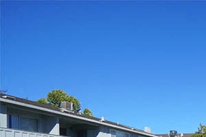 696 Towle Way Studio-3 Beds Apartment for Rent - Photo Gallery 2