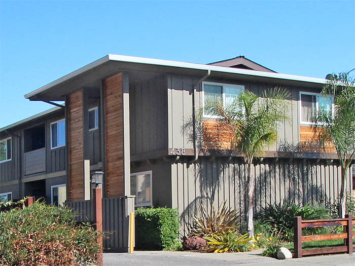 a house with a palm tree in front of it