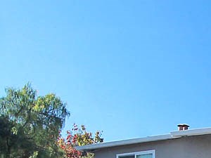 444 Ventura Avenue Studio-2 Beds Apartment for Rent