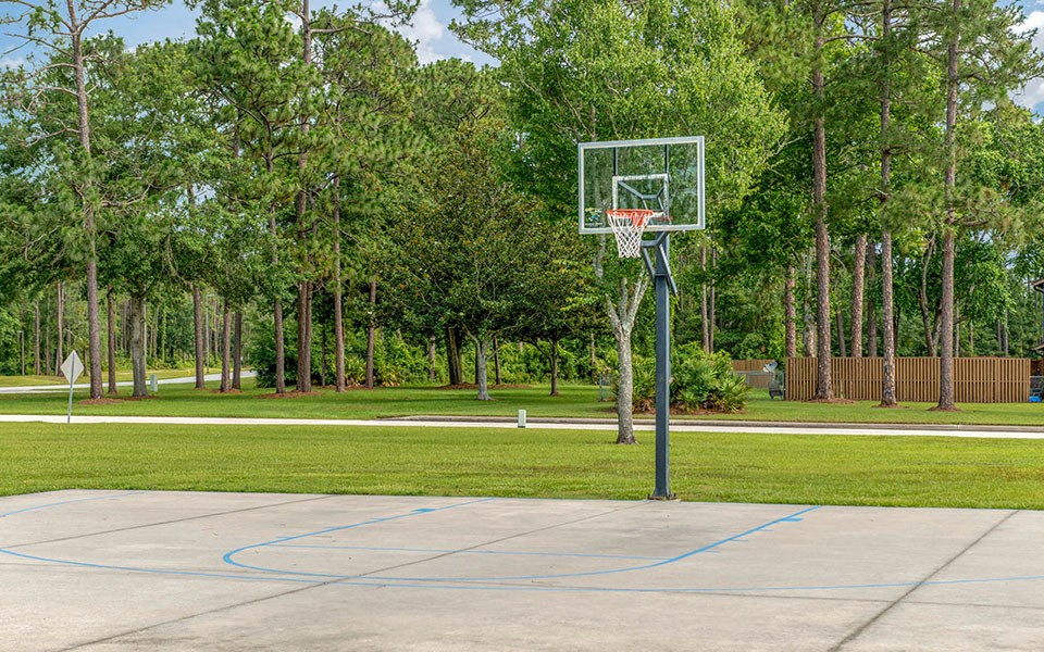a basketball court in a park with trees