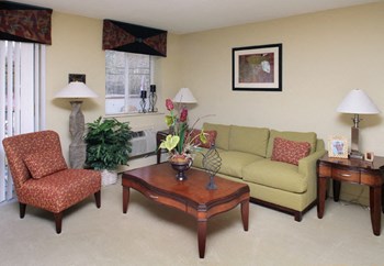 Living Room at SoMa Apartments Mattapan, MA SoMa Mattapan Apartments for Rent - Photo Gallery 3