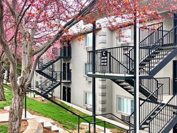 Apartments For Rent Near Uvu Rentcafé Apartment