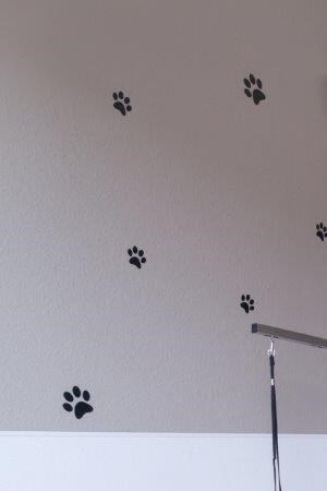 Vasari Apartments Elk Grove Pet Friendly Apartments in Elk Grove CA Vasari Luxury Apartment Homes Pet Spa