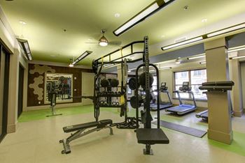 Expansive Fitness Center with Cardio and Free Weights