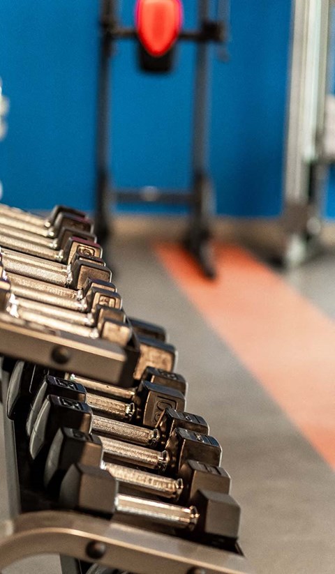 Free weights  lounge Haven at Lake Highlands l Apartments in Dallas, TX 75231