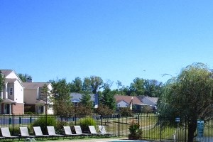 a large swimming pool in a backyard with flowers