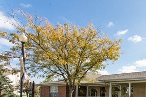 7251 Windsor Lakes Drive 1-3 Beds Apartment for Rent - Photo Gallery
