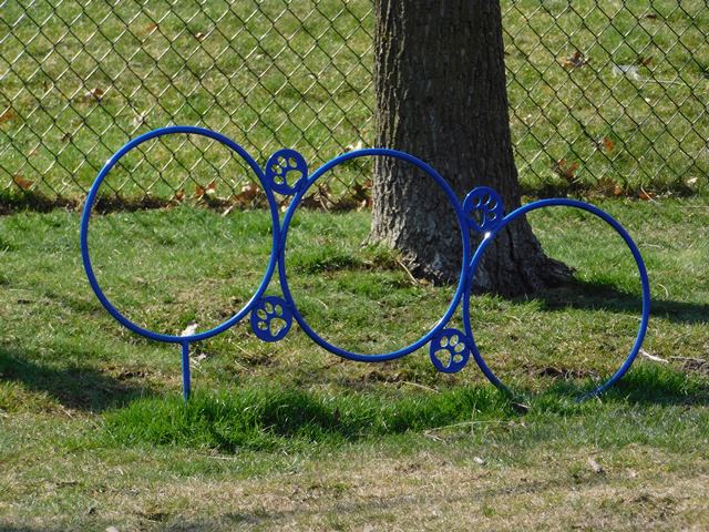 a blue metal bench in front of a tree