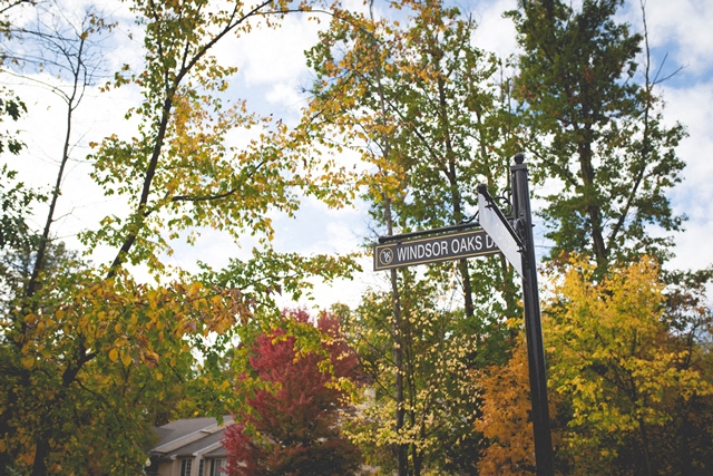 a street sign in front of some trees