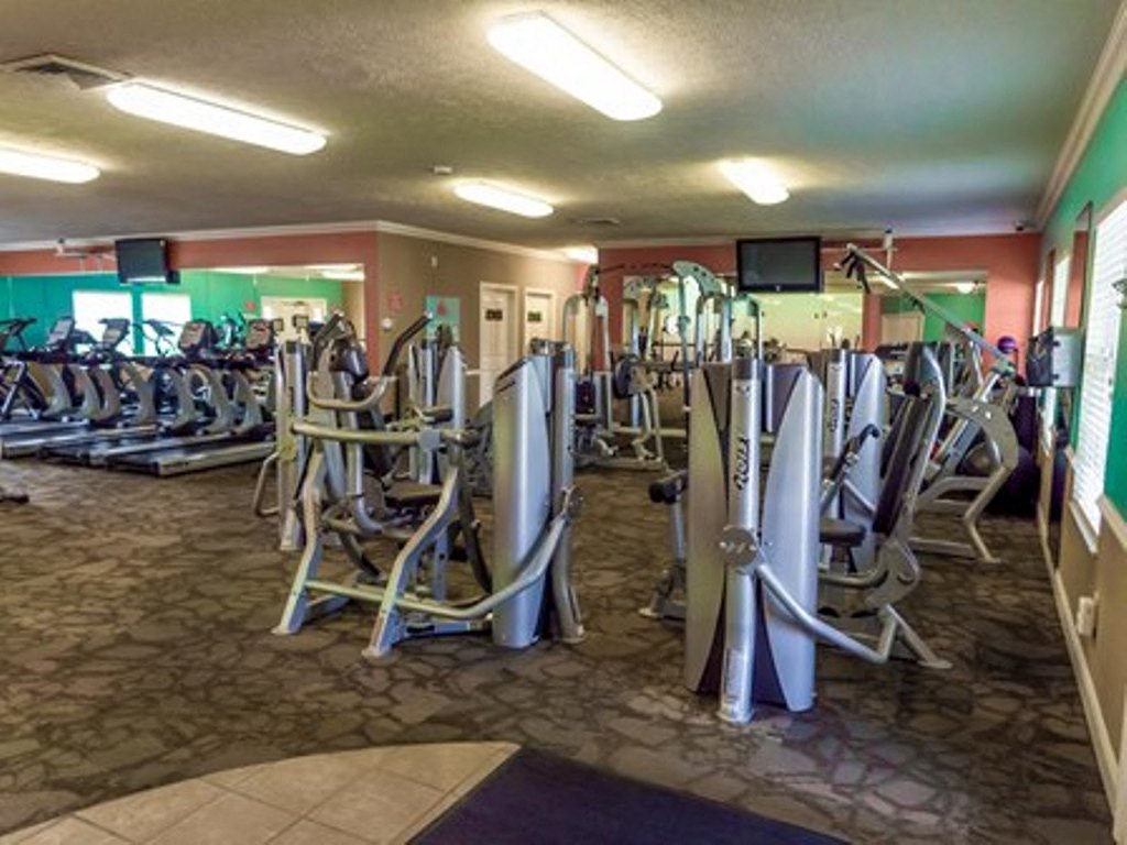 a gym with a large group of exercise equipment