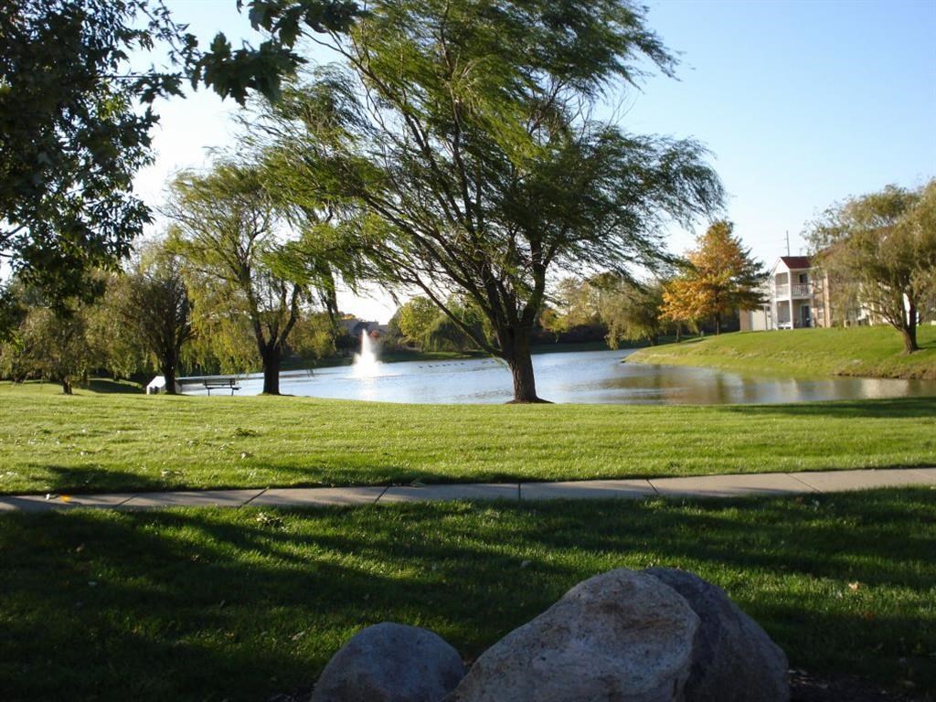 a view of a pond with a fountain