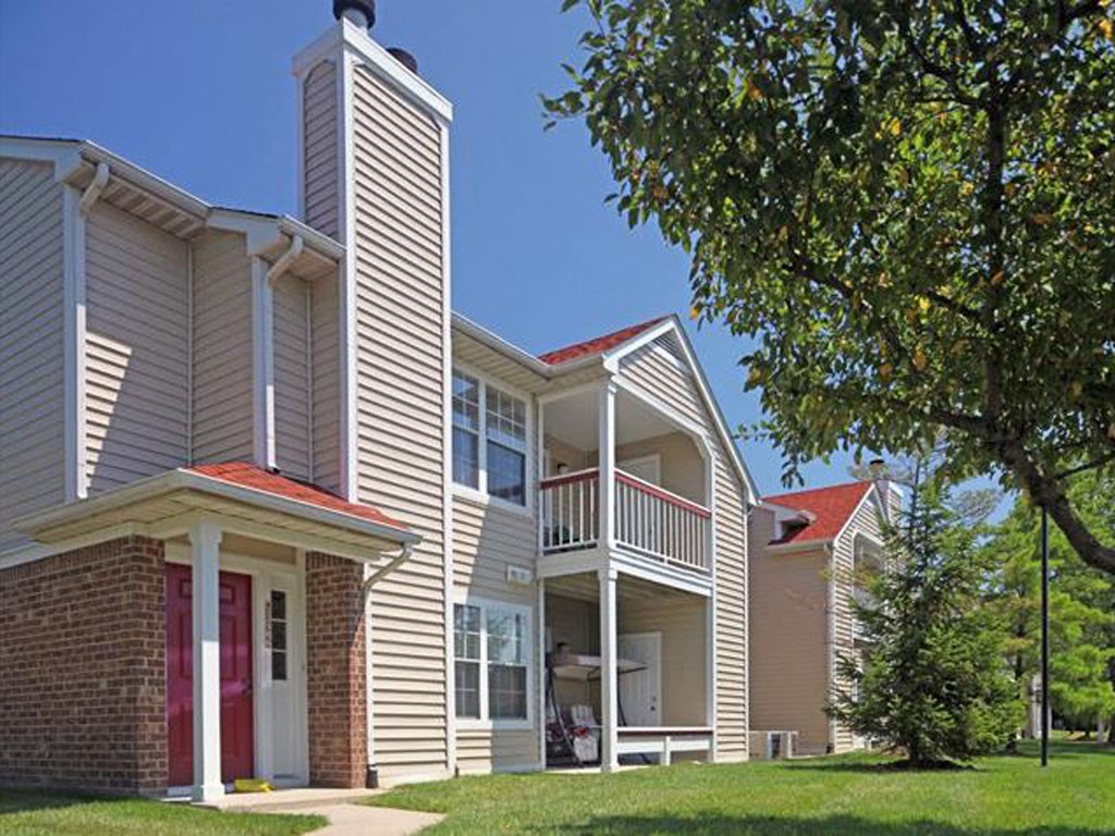 a row of houses with a tree in the yard