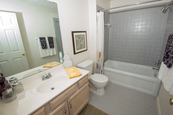 a bathroom with a sink toilet and a shower