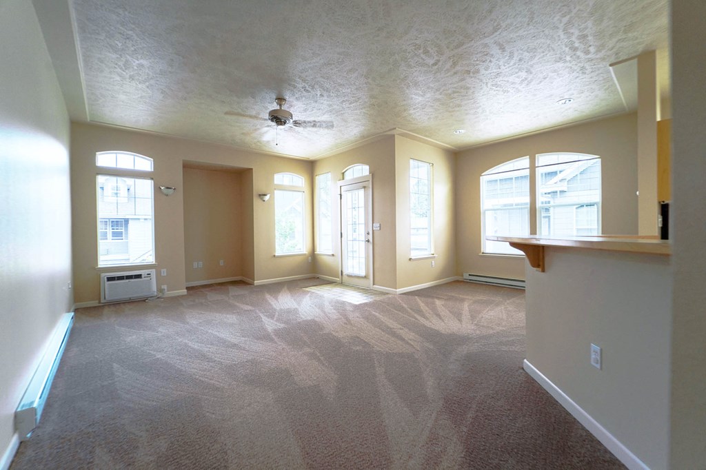 Plush Carpeting at Artisan Apartments, Washington