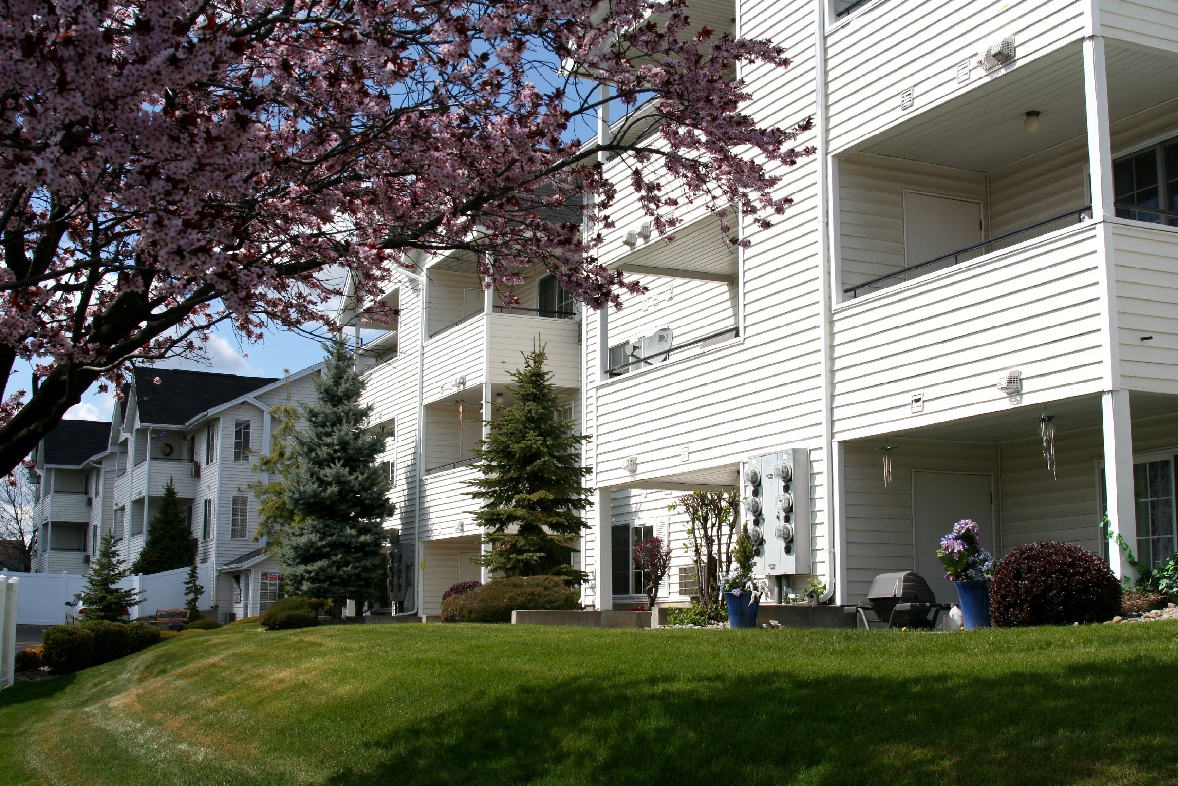 Morning Glory Circle Apartments Apartments In Spokane Wa