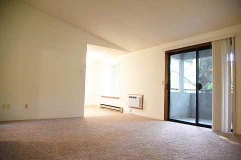 Plush Carpeting at Parc Grand Apartments, Spokane, Washington