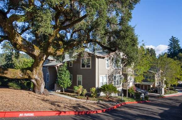 Exterior driveway - Photo Gallery
