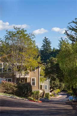 View from the top of the hill