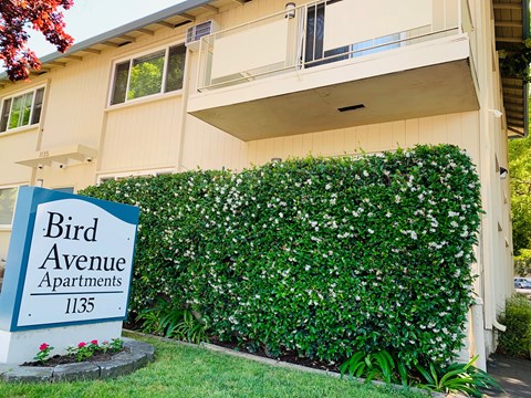 a bird avenue apartments sign in front of a house