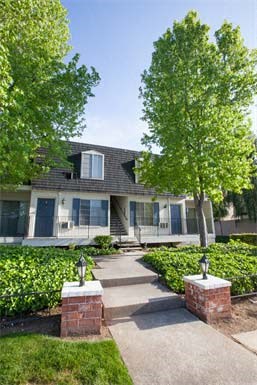a house with a sidewalk and trees in front of it