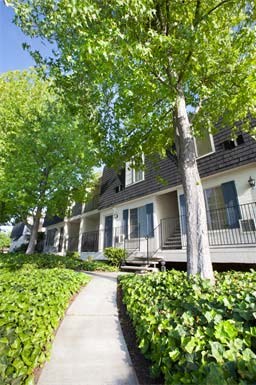 a sidewalk in front of a row of houses