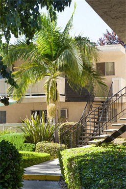 480 Boynton Avenue 1-2 Beds Apartment for Rent - Photo Gallery 3