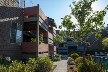527 Frederick Street 2 Beds Apartment for Rent - Photo Gallery 2
