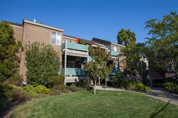 527 Frederick Street 2 Beds Apartment for Rent - Photo Gallery 4