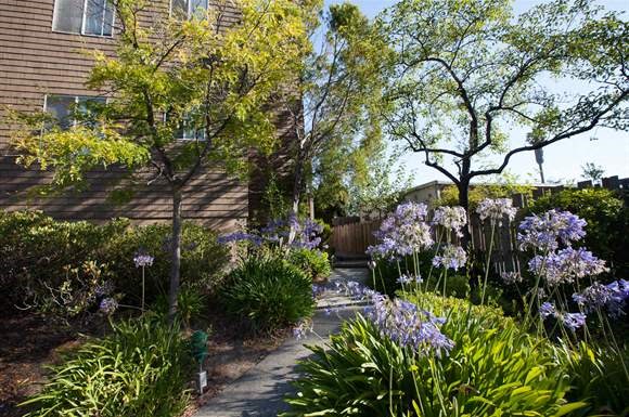 Cormorant Court Apartments