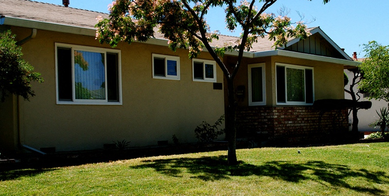 A house with a tree in front of it.