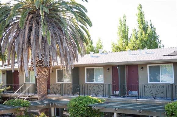 a house with a palm tree in front of it