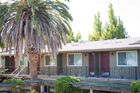 a house with a palm tree in front of it