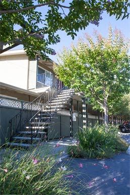 a house with a staircase and a tree in front of it