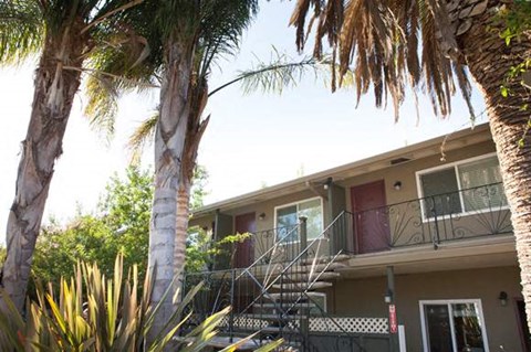 a house with a staircase and palm trees