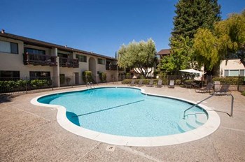 El Mirador Apartments Pool Sunnyvale, CA 165 Bernardo Ave Sunnyvale El Mirador Apartments - Photo Gallery 5