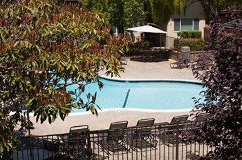 El Mirador Apartments Pool Sunnyvale, CA 165 Bernardo Ave Sunnyvale El Mirador Apartments - Photo Gallery 6