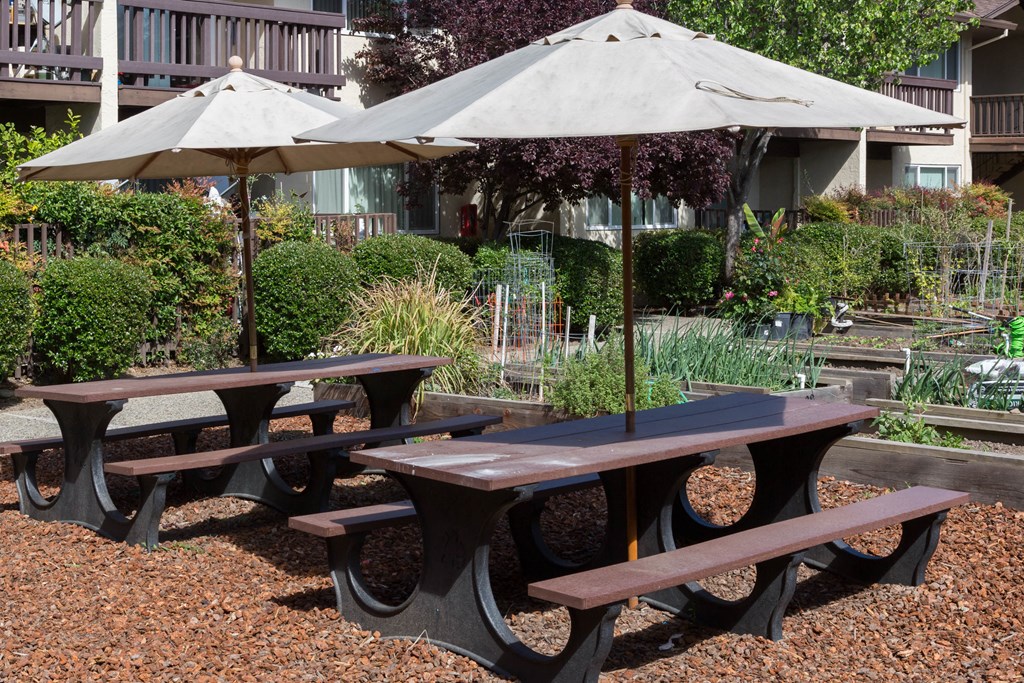 a group of picnic tables with umbrellas in a garden