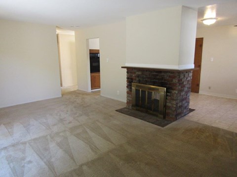 A living room with a fireplace and a television.
