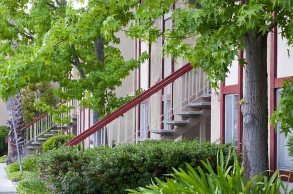 a building with a staircase and a tree in front of it