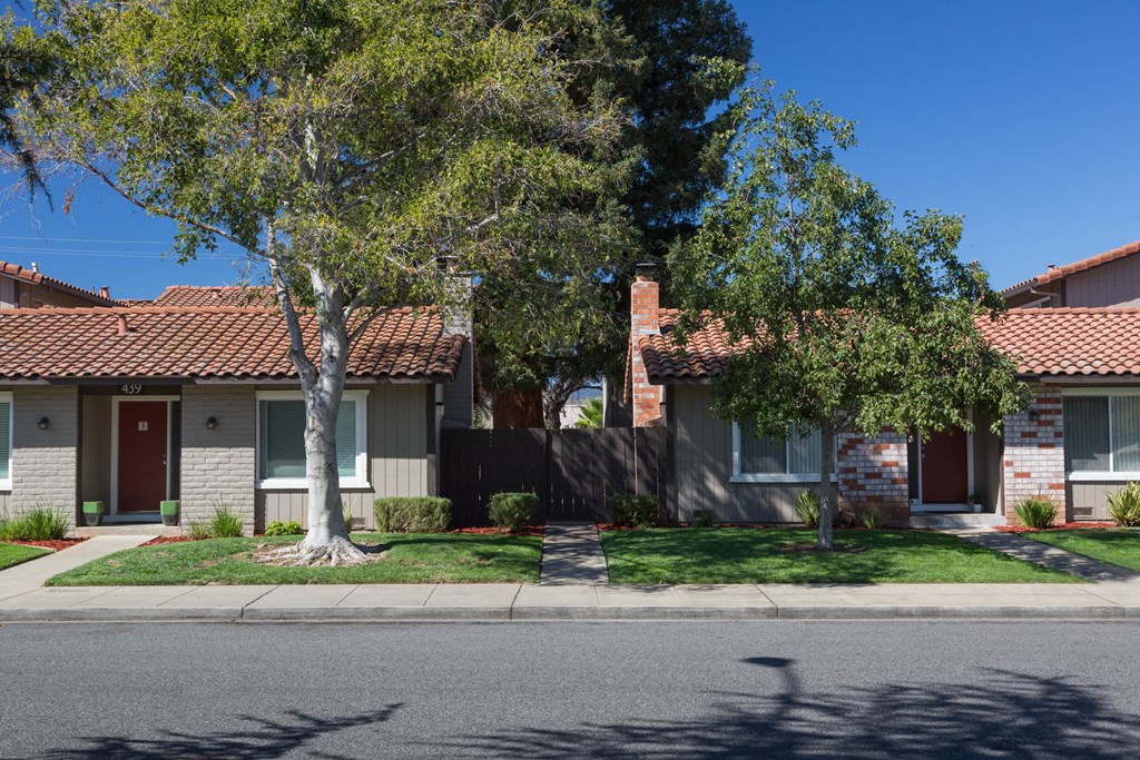 a group of houses on the side of a road