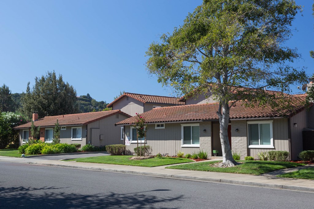 a row of houses on a street